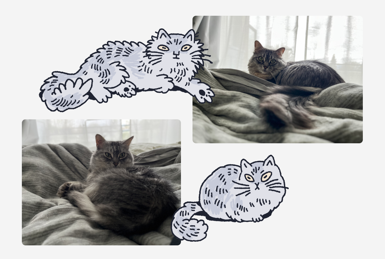 A collage of two silver tabby cats, both with medium-to-long fur. The illustration and photo on top left and top right are of Kestra, a larger silver cat, and there is an illustration and photo on the bottom left and right that are of Lwaxana, a smaller silver cat.