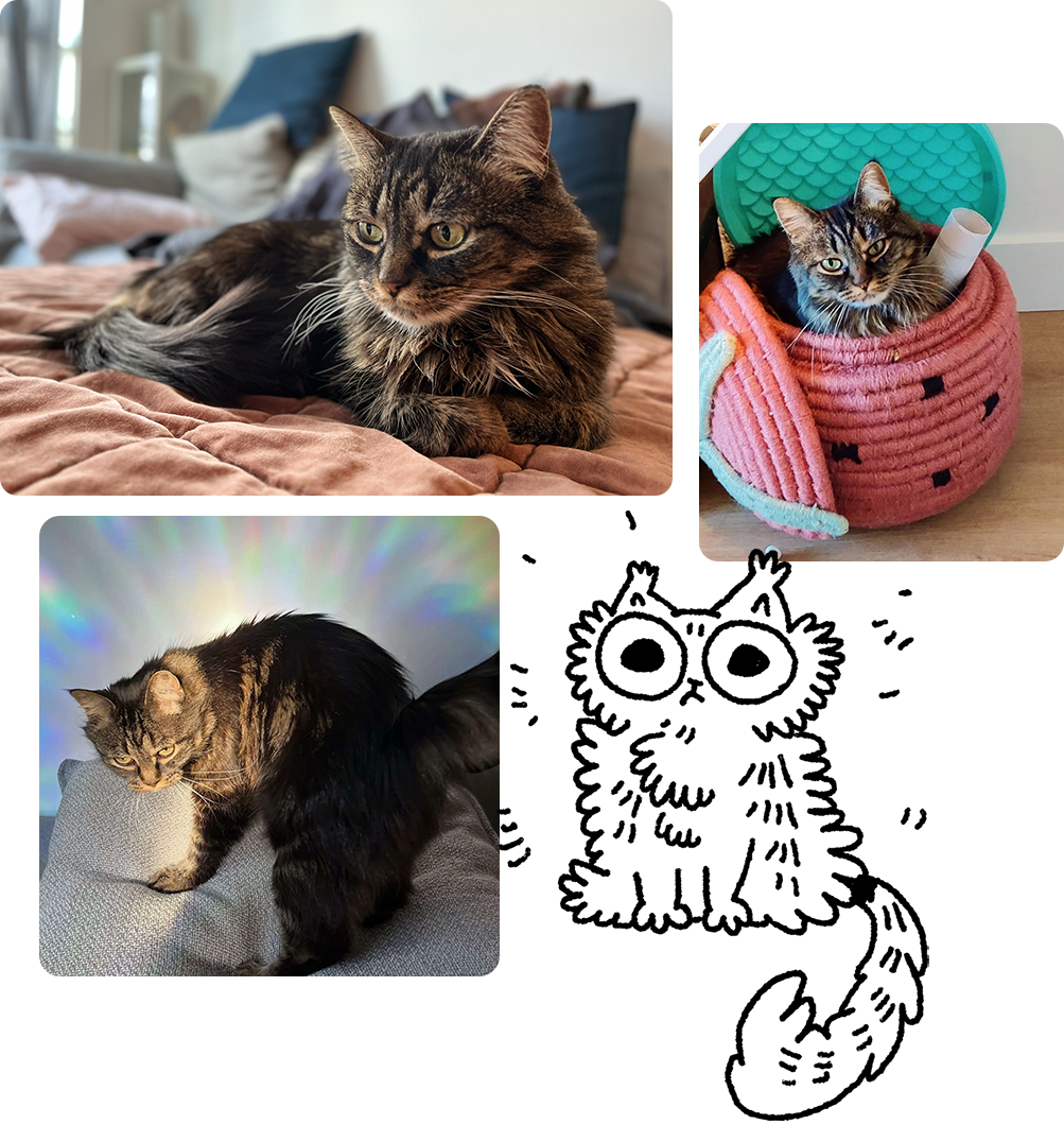 A collage of my cat Ohmu. Ohmu is a small, medium-haired brown tabby with a whiteish chin. There are three photos of her, including one where she is sitting, one where she is sitting inside her toy box that is shaped like a strawberry, and one where she is stretching in a rainbow light. There is also a cartoon drawing of Ohmu sitting upright.