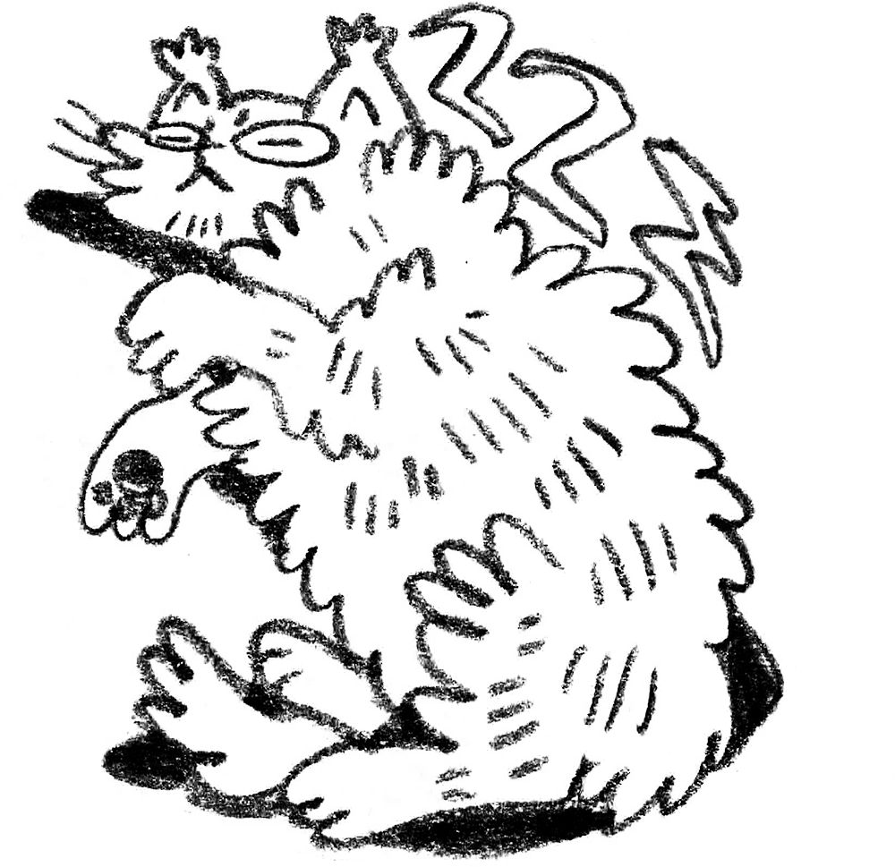 A cartoon illustration of my cat Ohmu sleeping, laying down on her side.